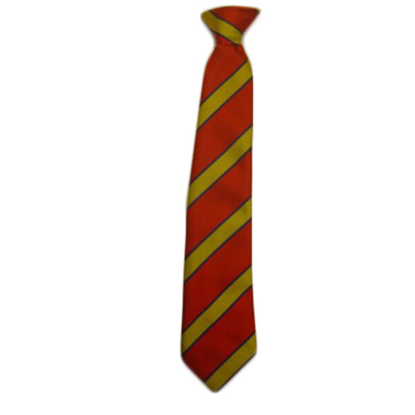 St Matthias School Tie Thumbnail